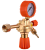 2026-02-03 (20).png